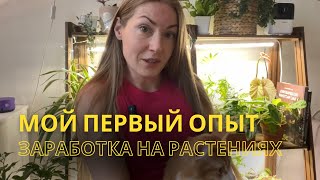 Мои первые впечатления о работе с растениями на коммерческом уходе🌿