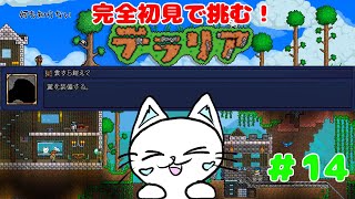 【テラリア/Terraria】完全初見で「テラリア」に挑む！  雲すら超えて　#14