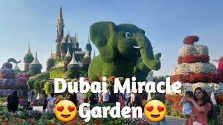Miracle Garden Dubai 2022 || The world's largest natural flower garden.