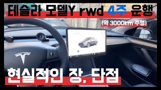 [홍길동 부부]Ep.55 🚗모델y rwd 4주 운행 현실적인 후기 | 벤볼릭 차량용 방향제 | 테슬라 모델y #벤볼릭#벤볼릭방향제#차량용방향제