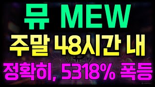 [캣인어독스월드] 뮤코인 주말간, 5318% 폭등한다!!