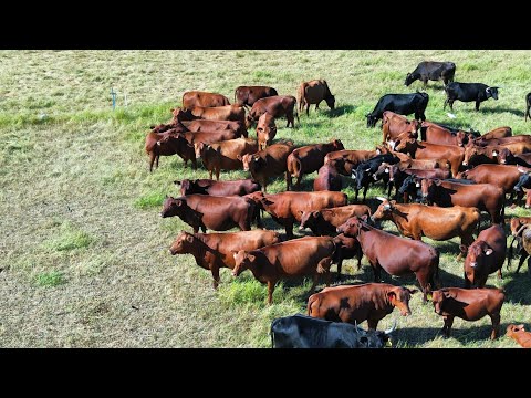 How can a farmer overcome the problem of overgrazing?