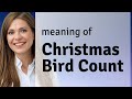 Exploring the World of Birds: The Christmas Bird Count