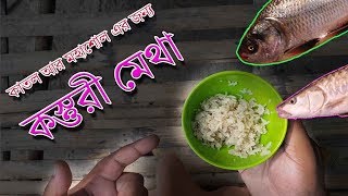 Kasturi Metha Rice For Catla Mahseer Fishing Bait \u0026 Fishing Chum কস্তুরি মেথা কাতল আর মহাশোল এর জন্য