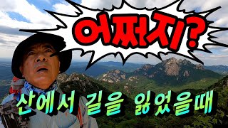 #산길 찾기 #산에서 길을 잃었을 때 어쩌지?#Finding a mountain path #What do I do when I get lost in the mountains?