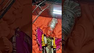 Saptashrungi Devi Live Darshan | Vani Gad Nashik