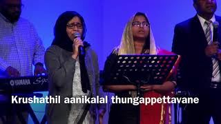 Krushathil aanikalal thungappettavane