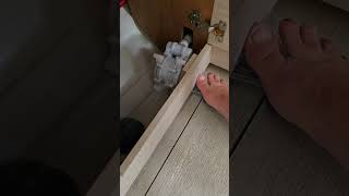 How Do You Know It S Leaking