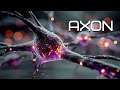AXON | Signal Pathway Music for Developers & Deep Thinkers | Neural Protocol