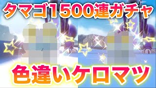 【最高】タマゴ1500連ガチャで色違いケロマツ厳選してみたらヤバすぎる結果になったww【ポケモンSV/スカバイ】