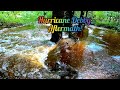 Hurricane Debbie Floods Beaver Dam Creek And More!