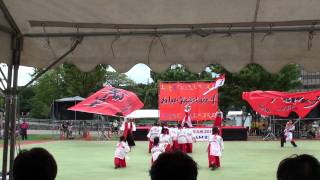 北九州わっしょい百万隊～わっしょいYOSAKOI北九州～勝山公園大芝生会場