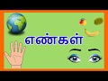 எண்கள் 1-10 | Learn Numbers in Tamil for Kids | தமிழரசி | Tamilarasi for Kids