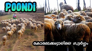 Poondi | manavanoor sheep fram | South Indian Trip EP-05| 4k