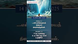 14.01.25 | Today's Pearl | Daily Bible Verse | Tamil \u0026 English #todaybibleverseintamil#bibleverse