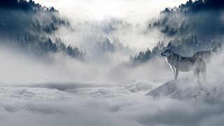 Relaxing Blizzard Storm Sounds Relaxing Winter Background Sounds: Howling Forest Wind | High Quality