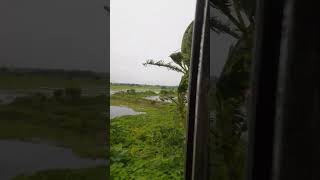 অসাধারণ প্রকৃতি    #viralvideo #youtubeshort #nuture_viral_reels #subcribe