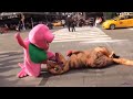 (🦖 Epic Dinosaur Battle🦕) Ft. Slipknot - All Out Life