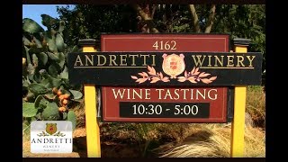 Andretti Winery in the Napa Valley Vineyards