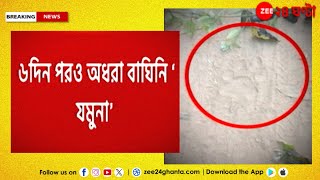 ֹTigress Yamuna | ‘যমুনা’কে খাঁচাবন্দি করার চেষ্টায় বনকর্মীরা, তবুও বাগে আসছে না বাঘিনি |Zee24Ghanta