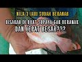 bisakah nila 3 jari berhenti beranak???