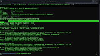 TryHackMe #356 Web Enumeration