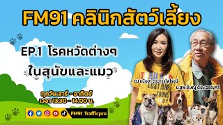 โรคหวัดต่างๆในสุนัขและแมว EP.1 : FM91 คลินิกสัตว์เลี้ยง : 26 กุมภาพันธ์ 2565