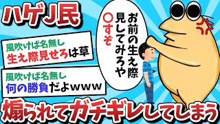 【悲報】なんJ民さん、薄毛のことをいじられてガチギレしてしまうｗｗｗ【2ch面白いスレ】【ゆっくり解説】