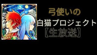 弓使いの白猫プロジェクト#1 第1章｢冒険の始まり｣【生放送】