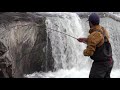 fresh atlantic salmon from horstad falls Åelva horstad gård 2018 salmonfishing norway