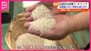 【米がピンチ】相場の”1.5倍”に… 猛暑で収穫量少なく価格値上がり　福島　NNNセレクション