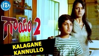 Gaayam 2 Movie - Kalagane Kannullo Song || Jagapathi Babu, Vimala Raman || Ilayaraja