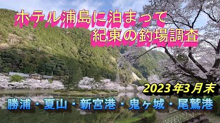 紀東の釣場調査　勝浦から尾鷲周辺