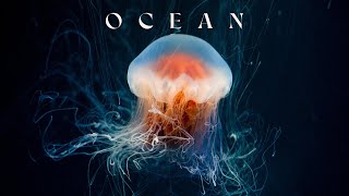 Ocean - Underwater Ambient Journey - Mysterious Ambient Music For Focus And Concentration