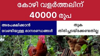 കോഴി വളർത്തലിന് 40000 രൂപ അപേക്ഷിക്കാ വേണ്ടിയുള്ള മാനദണ്ഡങ്ങൾ| തുക തിരിച്ചടയ്ക്കേണ്ടതില്ല #vtech8825