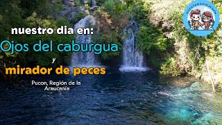 💧 Ojos del Caburgua + Mirador de Peces | Aventura en Pucón 🐟🌿