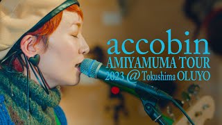 【Live】accobin「New Rain」 \