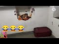 MY KVS ROOM TOUR AT MY POSTING 🌏🧳 PLACE