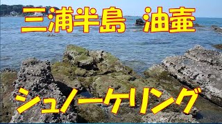 三浦半島　油壷（荒井浜ビーチ）でシュノーケリング　【海中散歩】