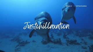 Relaxing Music with Dolphins and Whales to Help with Stress Relief and Total Relaxation