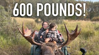 Daughter Brings Home 600lbs of Moose Meat | Alaska Fall Harvest