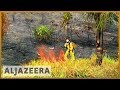 Amazon fires: burning continues despite ban