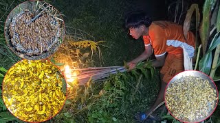 Rural Village Hunting Barula \u0026 Eating Special Cooking Style || Original Villagelifestyle In Nepal ||