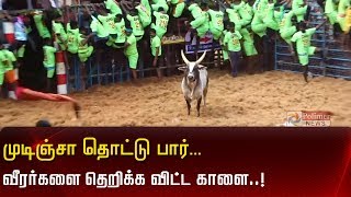 முடிஞ்சா தொட்டு பார்...  வீரர்களை தெறிக்க விட்ட காளை..! | Alagumalai Jallikattu 2020