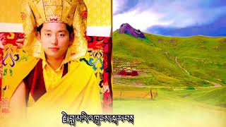 Song Offering To H.E Trungram Gyalwa Rinpoche|Tenzin Norbu|Tibetan  Melodious Song