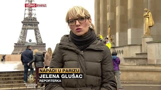 Glušac o istrazi napada u Parizu