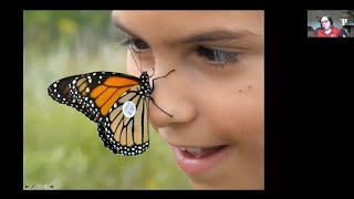 Monarch Butterfly Conservation