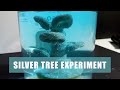 Silver Tree Experiment