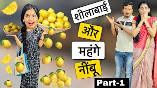 कामवाली शीला बाई और महंगे नींबू || Kaamwali Seela Bai Part-1 || Riddhi Ka Show !!!