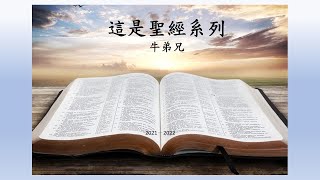 這是聖經小先知書（3）－阿摩司書